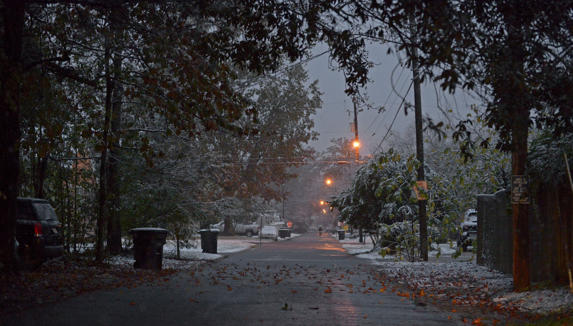 BR.snow.120917 HS 003.JPG